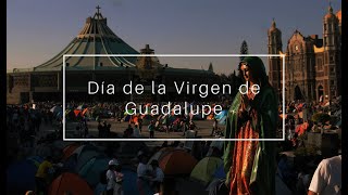 Basílica de Guadalupe Ciudad de México en vivo [upl. by Gnuj]