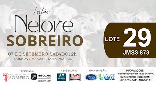 LOTE 29  LEILÃO NELORE SOBREIRO 7 DE SETEMBRO 12h FAZ 3 MARIAS ITAPIRAPUÃ GO [upl. by Ralleigh652]