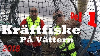 Kräftfiske på Vättern med förhinder 2018 med vår Ryds Camping [upl. by Fenton338]