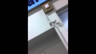 Burglar Alarm goes off  Meijer [upl. by Ecidnac]