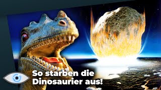 So hat der Asteroid die Dinosaurier vernichtet Die ersten 24 Stunden nach dem Einschlag [upl. by Notserc755]