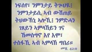 Eritrean Orthodox Tewahdo Mezmur  ንዓይ ትጽቢተይ ኣምልኽ ጥራይ እዩ [upl. by Suzette]