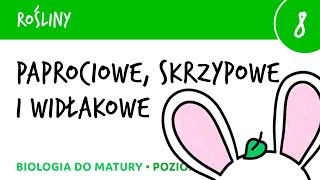 Paprocie skrzypy widłaki  paprotniki  Rośliny 8  matura liceum biologia rozszerzona [upl. by Lladnarc512]