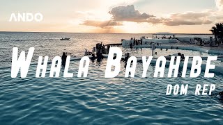 Whala Bayahibe 2023 Budget Resort All Inclusive Dominican Republic [upl. by Nihs149]