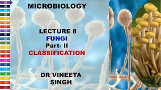 Understanding Fungal Classification A Deep Dive into Mycology [upl. by Roby]