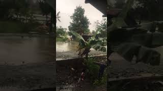 Daddypet Mabaitnpogi is liveclaver surigao province raining😱👍 [upl. by Vez]