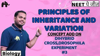 Principles of Inheritance amp Variation Class 12 Biology NEET Chap 4  Dihybrid Cross Drosophila 3 [upl. by Barr]