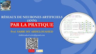 Maîtriser les Réseaux de Neurones Artificiels ANN par la pratique [upl. by Anerda]