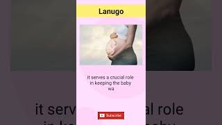 What is Lanugo LanugoHair Newborn Nursing [upl. by Aidne]