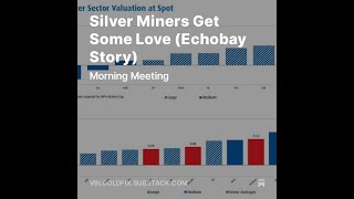 Silver Miners Get Some Love Echobay Story [upl. by Aneem891]