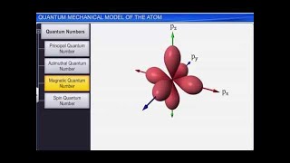 Atomic structure  Class 11 L5  Quantum Numbers  Electronic configuration [upl. by Ardnoyek]