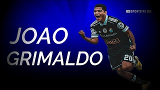 Joao Grimaldo 20 ● Dribbling amp Skills ᴴᴰ [upl. by Adriana989]