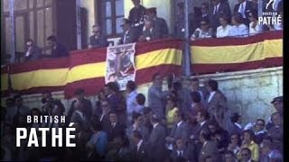 Bullfight 19701979 [upl. by Kolnick]