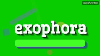 EXOPHORA  HOW TO PRONOUNCE IT [upl. by Amr]