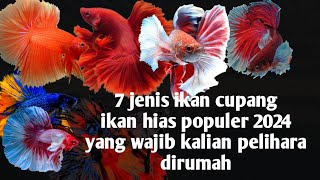 7 jenis ikan cupang yang sedang populer ditahun 2024‼️wajib kalian pelihara dirumah [upl. by Boylan]