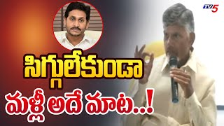 సిగ్గులేకుండా మళ్లీ అదే మాట Chandrababu Naidu Slams CM Jagan  Volunteers Resign  TV5 [upl. by Ardnic]