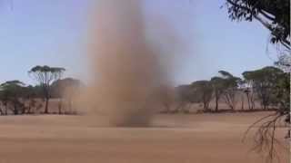 Australian Mini Tornado  Also Known as a Willy Willy or Dust Devil [upl. by Ellary]