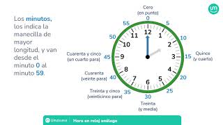 Hora en reloj análogo  Hora medias horas y cuartos de hora [upl. by Cleti]