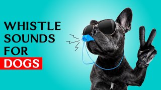 Whistle sounds for Dogs  Dog Whistle Sound to Call Your Dog [upl. by Hpesoj]