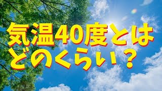 気温40度とはどのくらいの暑さ？ 気温40度 気温40度どのくらい 気温40度どのくらい暑さ 井戸端会議 [upl. by Airak]