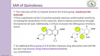 SAR of Quinolones [upl. by Layor]