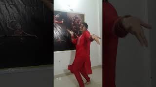 Mitran Di Chatri  Babbu Maan  Punjabi Dance [upl. by Cecilius57]