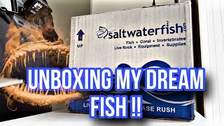 Unboxing my dream fish from SALTWATERFISHCOMM [upl. by Anyar453]