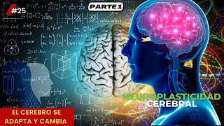 Neuroplasticidad Cómo el Cerebro se Adapta y Cambia  Parte I [upl. by Tiemroth]