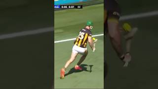 An bhfaca tú críoch níos fearr ná seo riamh 🤯 gaa hurling [upl. by Eldrida]