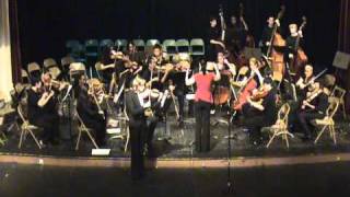 Niccolò Paganini Andante amoroso for violin and strings [upl. by Valma]