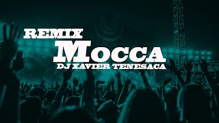 Remix Mocca ✘ Lalo Ebratt ✘ J Balvin Trapical ✘ DJ XAVIER TENESACA [upl. by Natka]