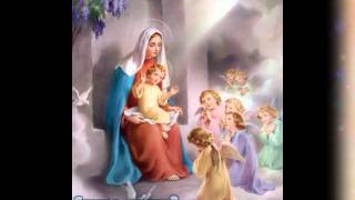 VAILANKANNI MATHA TAMIL SONGS ROMAN CATHOLIC CHRISTIAN SONG NON STOP Tamil Hymns to Mary [upl. by Annawahs]