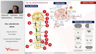 BASES EN NEUROLOGÍA PARTE 4  NEUROLOGÍA  VILLAMEDIC [upl. by Beal]