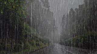 Sonido de Lluvia para Calmar Mente y Dormir Profundamente en 5 Minutos  Lluvia en el Bosque Brumoso [upl. by Karame]