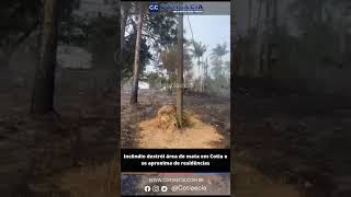 Incêndio destrói área de mata em Cotia e fogo se aproxima de residências [upl. by Adnohser]