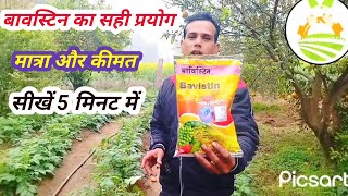 Bavistin fungiside uses। फैंगिसाइड का प्रयोग कैसे करें। फैंजिसाइड की सही मात्रा की जानकारी । [upl. by Huldah141]