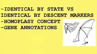 What is Homoplasy concept  Genome Annotation  Identical by state vs Identical by descent  Amity [upl. by Small]