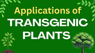 Applications of transgenic plants  Plant biotechnology  GM crops applications [upl. by Hertberg]