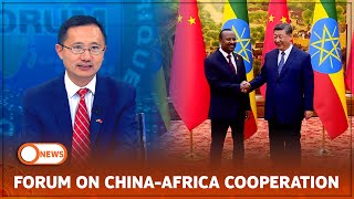 FORUM ON CHINAAFRICA COOPERATION [upl. by Ahsenwahs]