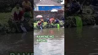 Ramene mz brow shortvideo lele fishing leles ikan lelesuper kolamikan [upl. by Giuditta274]