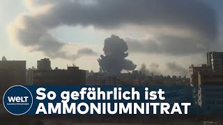 WELT INTERVIEW MegaExplosion in Beirut  Was ist Ammoniumnitrat für ein Stoff [upl. by Hootman]