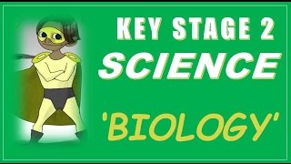 Key Stage 2 KS2 Science is Easy  Biology  How to Pass KS2 SATs [upl. by Oettam]