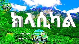 🟢🍀🌲🌳Best Instrumental music ክላሲካል 2024🌲🌳 [upl. by Aaren924]