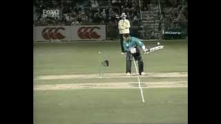 Brett Lee vs Adam Parore [upl. by Anirba]