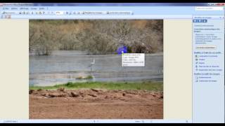comment redimensionner une photo avec microsoft office picture manager [upl. by Pascia757]