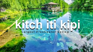 kitch iti kipi springsThe Magic of Michigans Largest Freshwater Spring  palms book state park [upl. by Colbert]