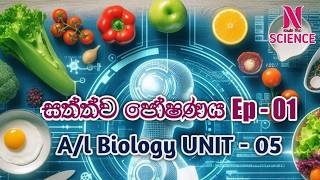 සත්ත්ව පෝෂණය  Animal nutrition  AL Biology Unit 05 [upl. by Leagiba]