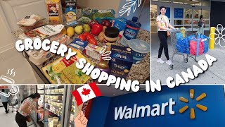 Cost of Groceries in Canada  Mississauga Walmart Grocery Haul sanyagulatisaxena [upl. by Malda369]