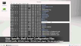 Mint Linux Command Shells Tutorial [upl. by Roehm]