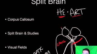 AP Psychology  BioPsych  Part 8  Consciousness [upl. by Ihcelek]